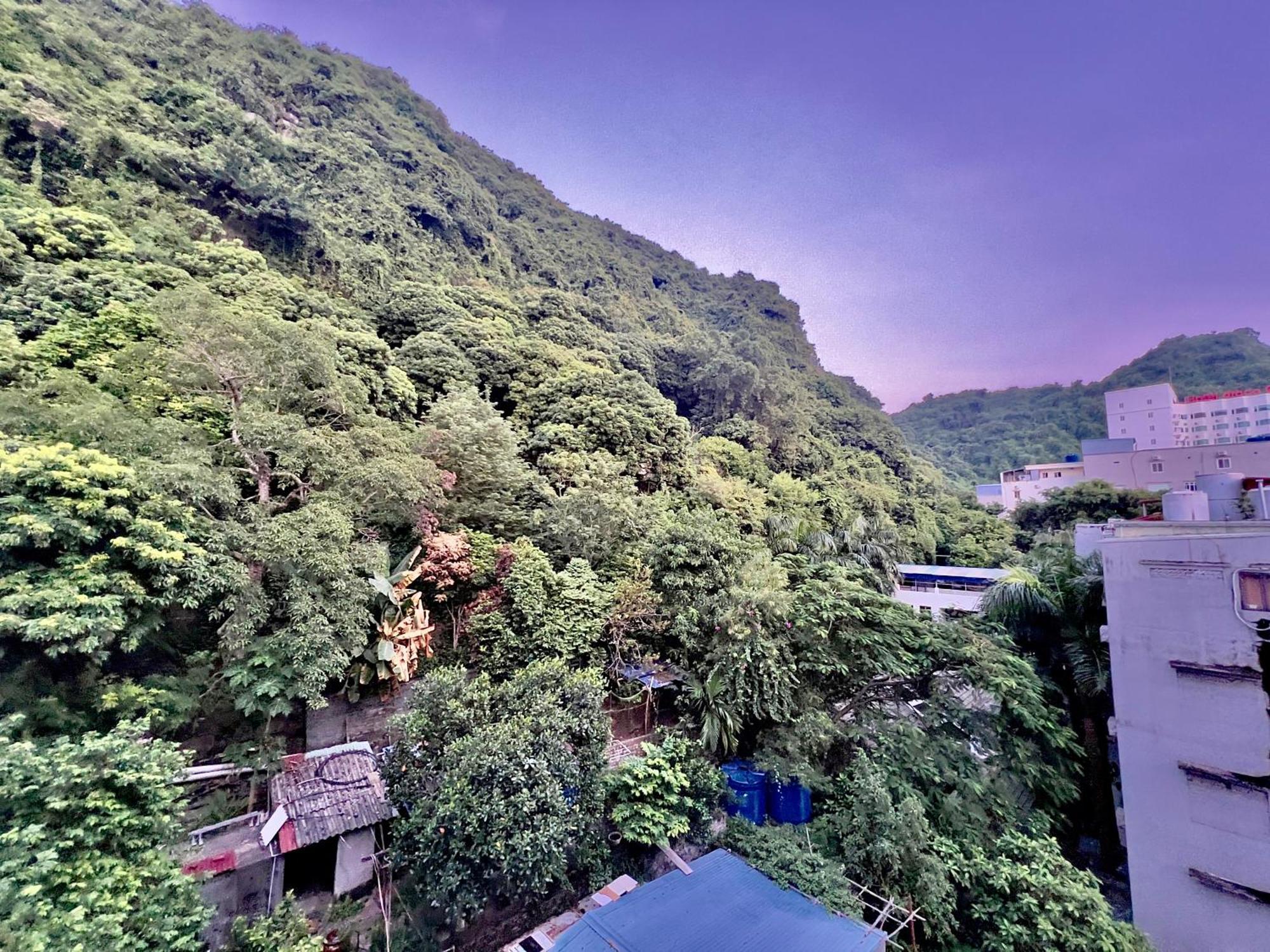 Manh Vuong Hotel Catba Dong Khe Sau Zewnętrze zdjęcie