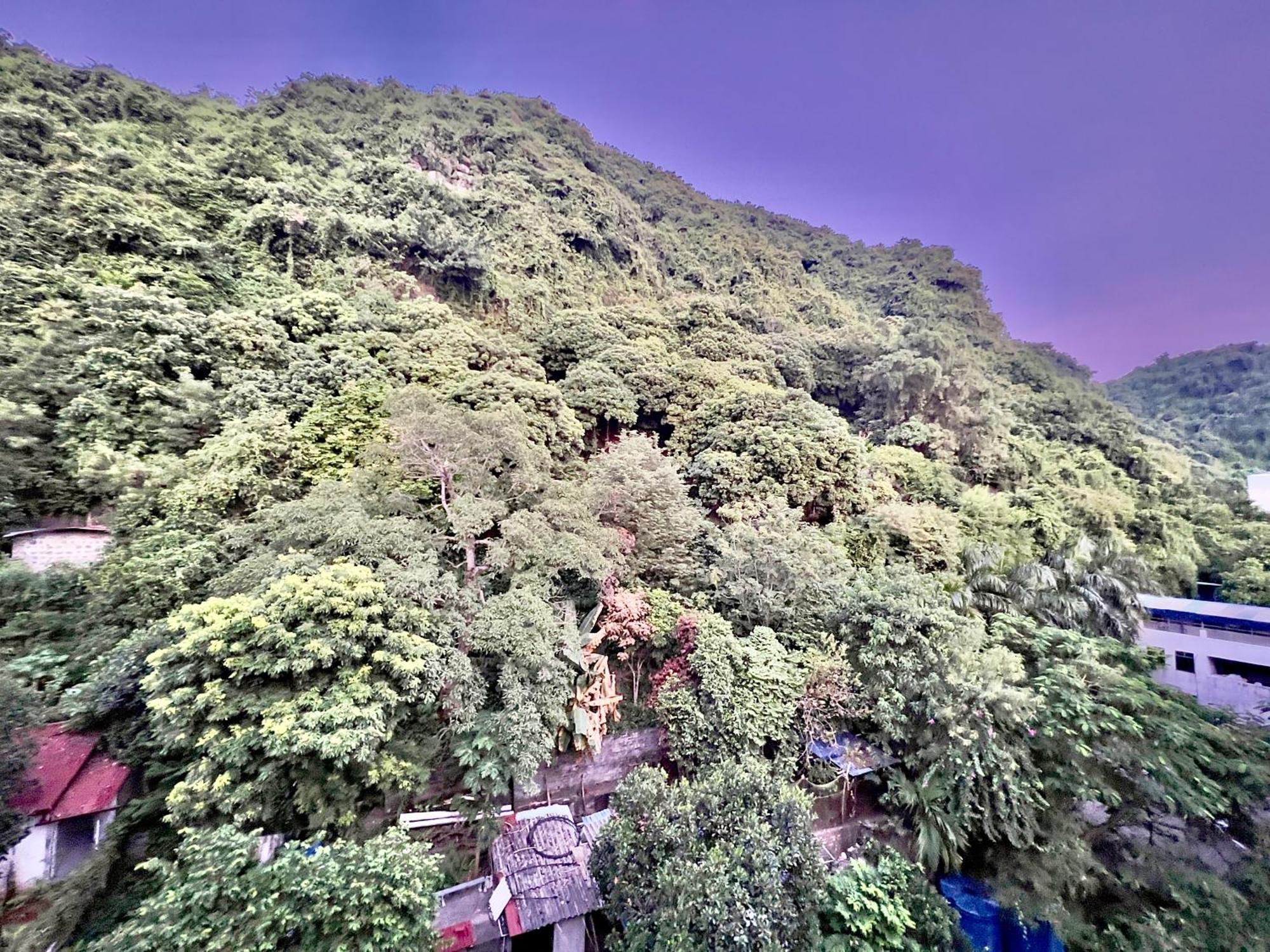 Manh Vuong Hotel Catba Dong Khe Sau Zewnętrze zdjęcie