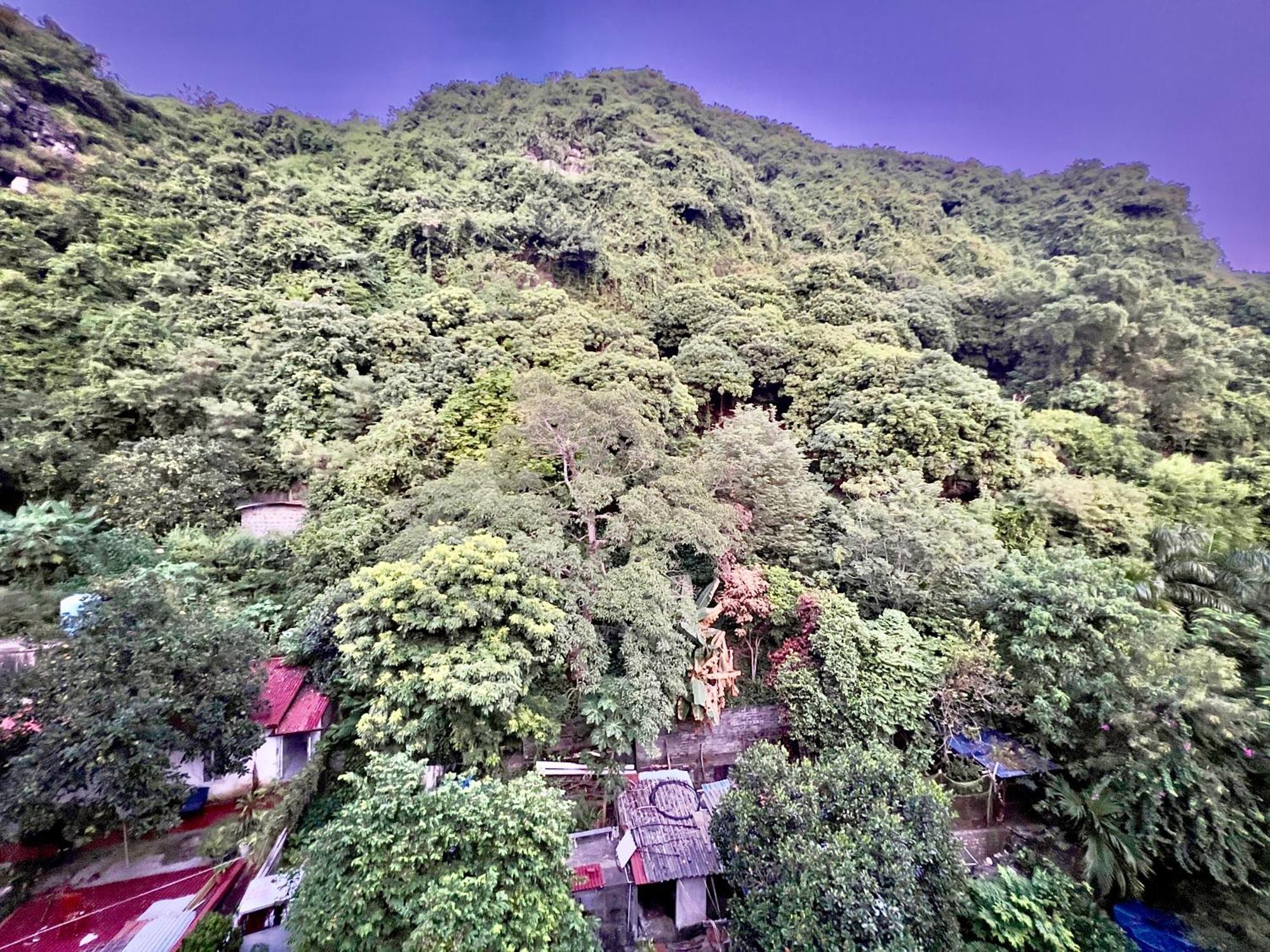 Manh Vuong Hotel Catba Dong Khe Sau Zewnętrze zdjęcie